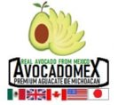 Avocadomexthumbnail_image.png